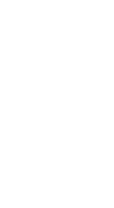 The company “Los Mulero” has worked in the following flamenco Show Rooms :Los Tarantos, El Carmen and El Palacio de Flamenco in Barcelona, La Quitapenas and El Flamenco in France, and Casa Patas, Corral of the Moreria or Cafe de Chinitas in Madrid.  The company has also performed in nightclubs like The Star (Andorra), Canela (Barcelona), La Masia de Tordera (Gerona), Palas of Salou in the casinos of Barcelona and Madrid, Spinho, Chaves, Portugal, in Canes France, in the Perla and Gransga Gora of Slovenia and in San Remo, Italy. In 1991 she plans and prepares groups for the cruise companies, Great Ships MSC, Grimaldi, Nina Cruises and Festival. From 1992 to 2009 she consecutively sends groups to all the Coast Cruises ships. In 1998 the company performs for the President of the United States of America, guest of an international convention of powerful businessmen.In 1999 the company “Los Mulero” is in charge of the Inauguration and the Closing of the global athletics in Seville, for the press and organizers. In 1999 and 2001 they inaugurate the Festival of San Remo. The Company acts in numerous events and conventions of great companies like Sony, or even for The Spanish Royal House. After its long trajectory in  Italian Cruise companies , the Company of “Los Mulero” is requested by the best American Cruise Companies of the moment like, Celebryty, Princess, Cunard, Crystal, Holland, Norwegian and starting in July 2009 will also be contracted for the Royal. 